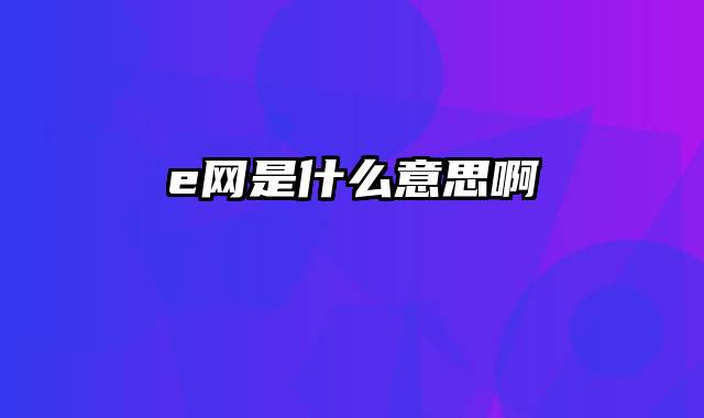 e网是什么意思啊