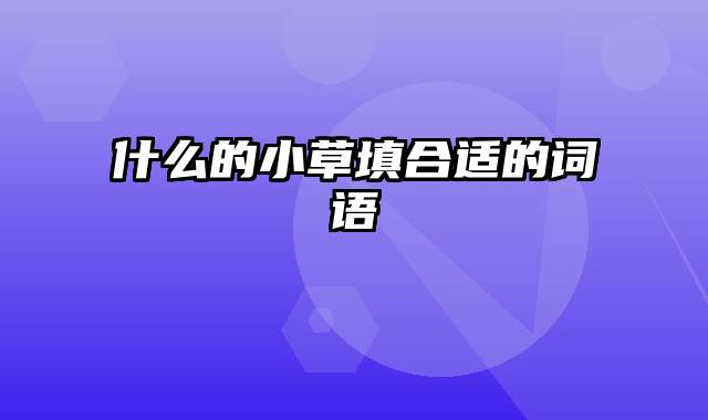 什么的小草填合适的词语 什么的小草填合适的词语