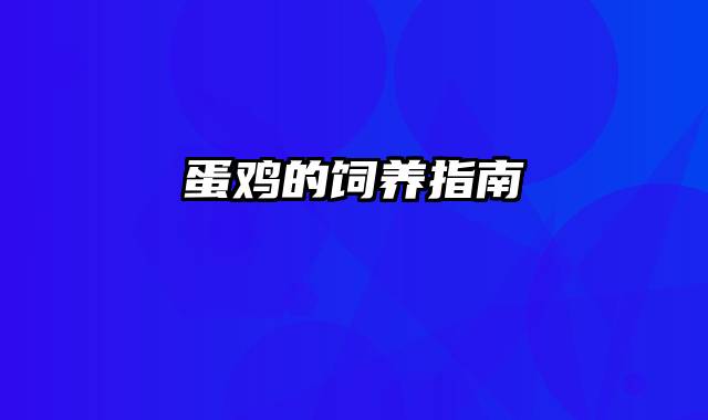 蛋鸡的饲养指南