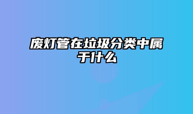 废灯管在垃圾分类中属于什么