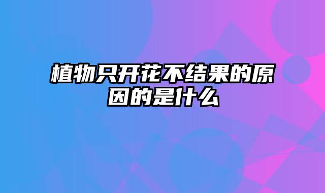 植物只开花不结果的原因的是什么