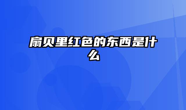 扇贝里红色的东西是什么