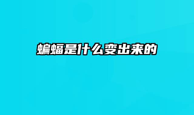蝙蝠是什么变出来的