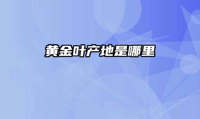 黄金叶产地是哪里