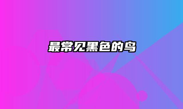 最常见黑色的鸟
