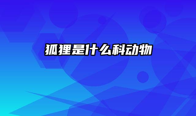 狐狸是什么科动物