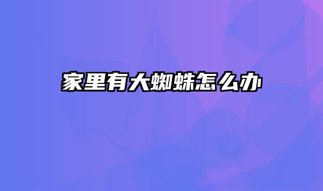 家里有大蜘蛛怎么办