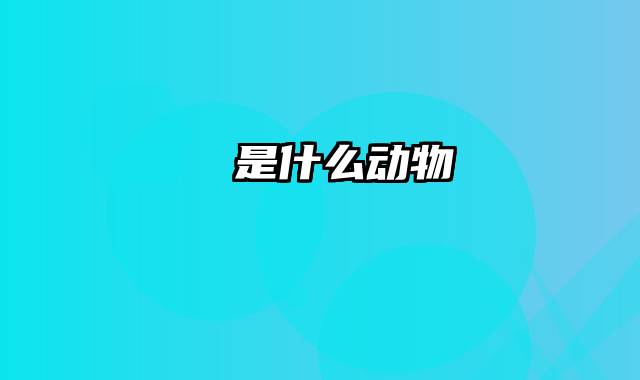 鼩鼱是什么动物