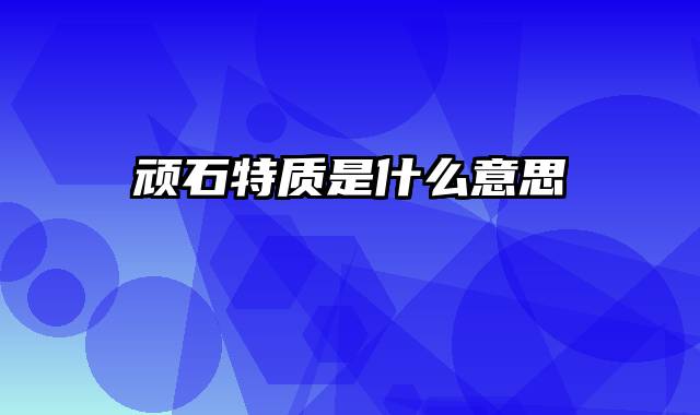 顽石特质是什么意思