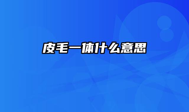 皮毛一体什么意思