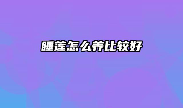 睡莲怎么养比较好