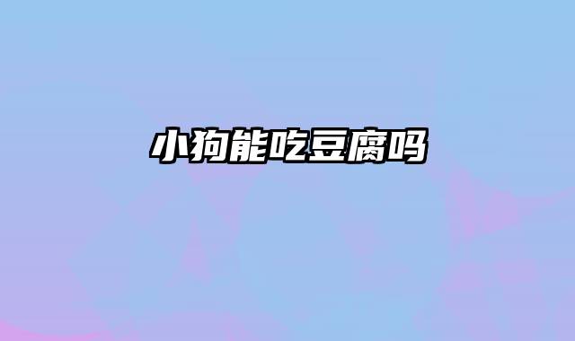 小狗能吃豆腐吗
