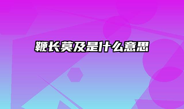 鞭长莫及是什么意思