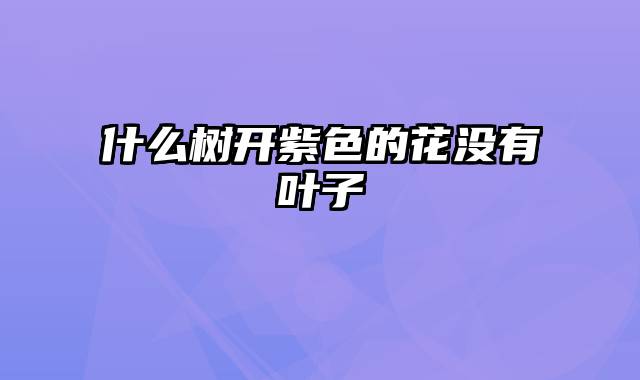 什么树开紫色的花没有叶子