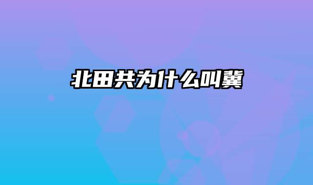 北田共为什么叫冀