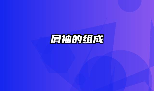 肩袖的组成
