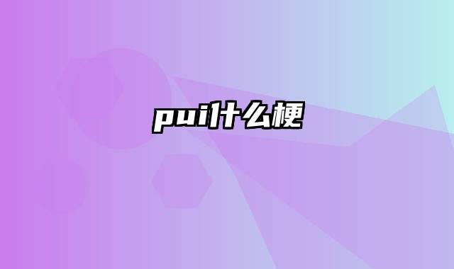 pui什么梗