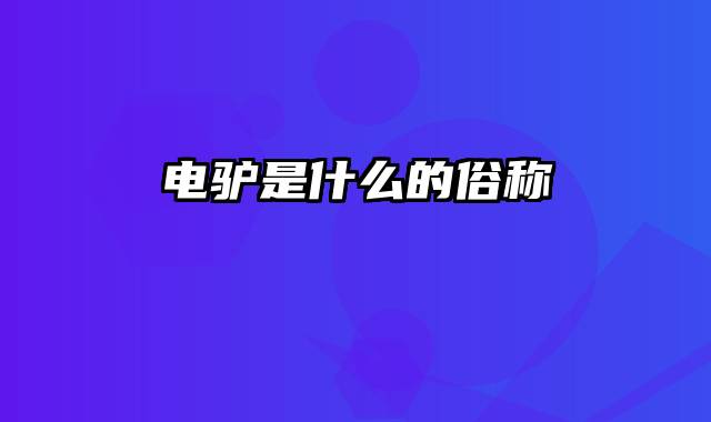 电驴是什么的俗称