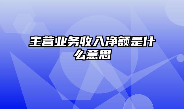 主营业务收入净额是什么意思