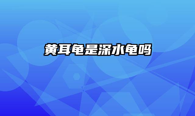 黄耳龟是深水龟吗