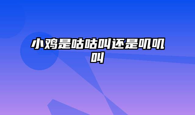 小鸡是咕咕叫还是叽叽叫