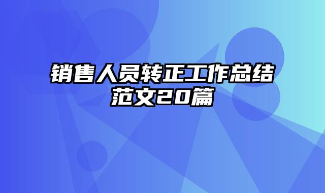 销售人员转正工作总结范文20篇