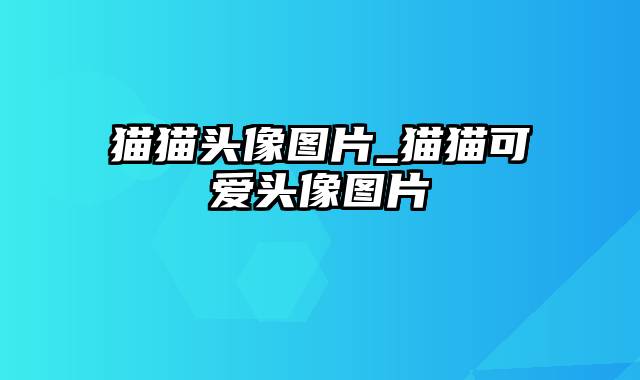 猫猫头像图片_猫猫可爱头像图片