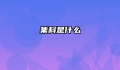 集料是什么