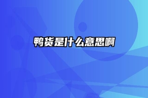 鸭货是什么意思啊