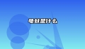 龟蚨是什么