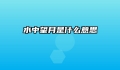 水中望月是什么意思