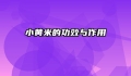 小黄米的功效与作用