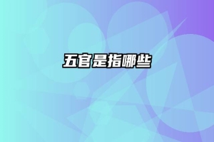 五官是指哪些