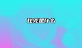 比兜是什么