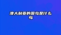 澳大利亚的国鸟是什么鸟