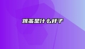 跳蚤是什么样子