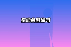 泰迪会游泳吗