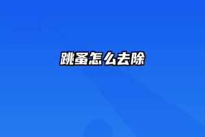 跳蚤怎么去除