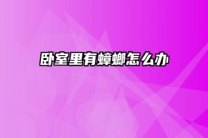 卧室里有蟑螂怎么办