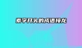 素字开头的成语接龙