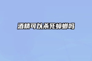 酒精可以杀死蟑螂吗