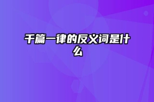 千篇一律的反义词是什么