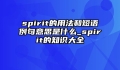 spirit的用法和短语例句意思是什么_spirit的知识大全