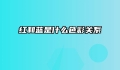 红和蓝是什么色彩关系