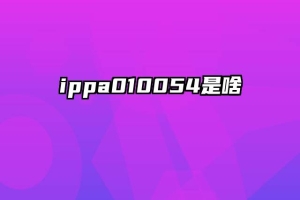 ippa010054是啥