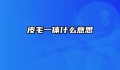 皮毛一体什么意思