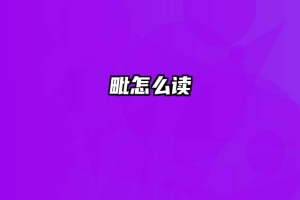 毗怎么读