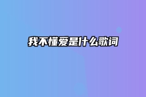 我不懂爱是什么歌词