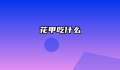 花甲吃什么