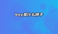 boy是什么牌子